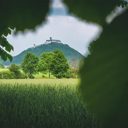 Vilka Petra Pod Bezdězem Bela pod Bezdezem