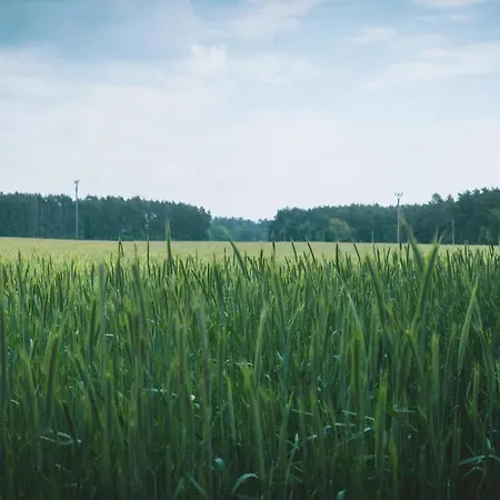 Vilka Petra Pod Bezdězem